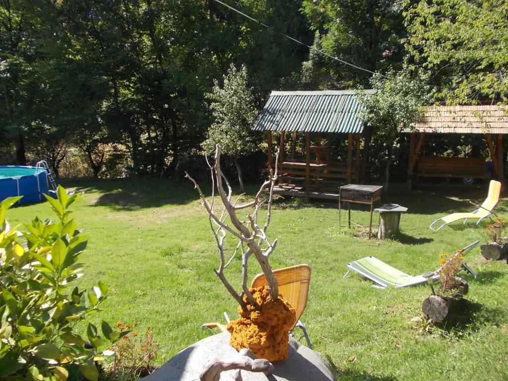 Pensiunea Adina Cavnic Εξωτερικό φωτογραφία