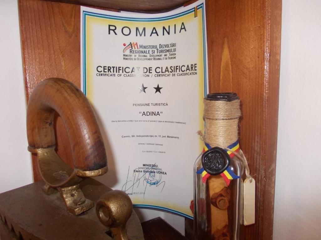 Pensiunea Adina Cavnic Εξωτερικό φωτογραφία